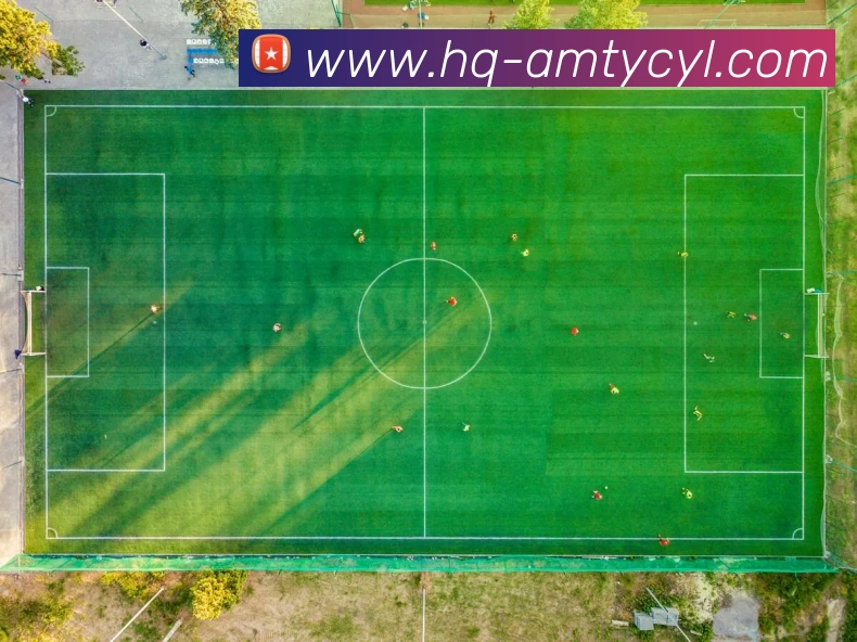 太阳城网站APP 体育赛事宣传图